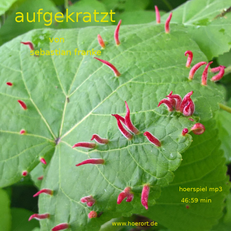 Cover Rauhnacht